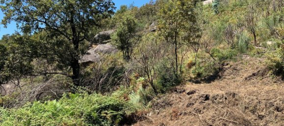 3 Schlafzimmer Haus in Cantelaes, Portugal, Nr. 187812 18