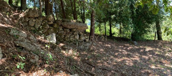 3 Schlafzimmer Haus in Cantelaes, Portugal, Nr. 187812 12