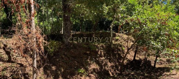 3 Schlafzimmer Haus in Cantelaes, Portugal, Nr. 187812 26