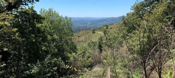 3 Schlafzimmer Haus in Cantelaes, Portugal, Nr. 187812 19