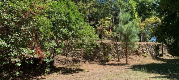 3 Schlafzimmer Haus in Cantelaes, Portugal, Nr. 187812 23