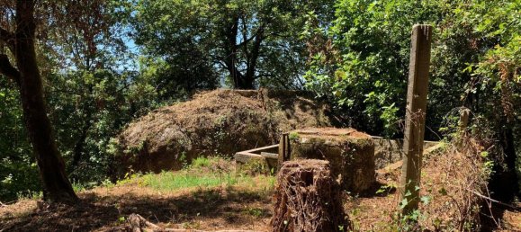 3 Schlafzimmer Haus in Cantelaes, Portugal, Nr. 187812 22