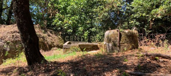 3 Schlafzimmer Haus in Cantelaes, Portugal, Nr. 187812 11