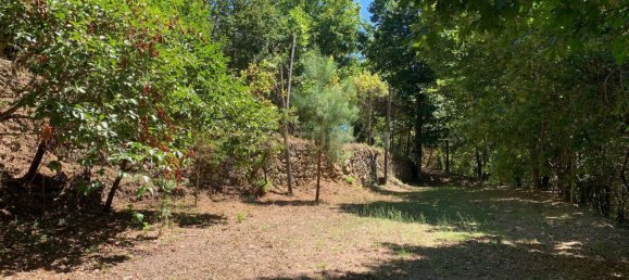 3 Schlafzimmer Haus in Cantelaes, Portugal, Nr. 187812 27