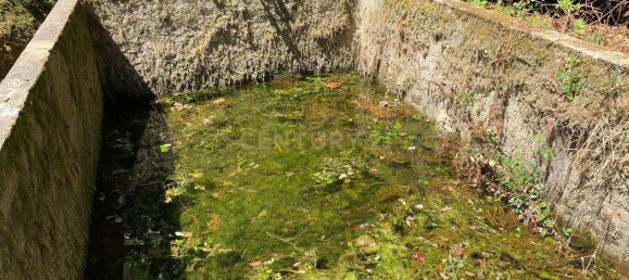 3 Schlafzimmer Haus in Cantelaes, Portugal, Nr. 187812 4