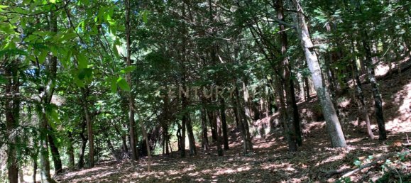 3 Schlafzimmer Haus in Cantelaes, Portugal, Nr. 187812 3