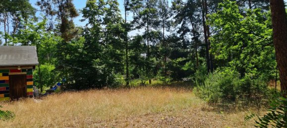  Land in Teltow-Flaming, Germany No. 230873 4