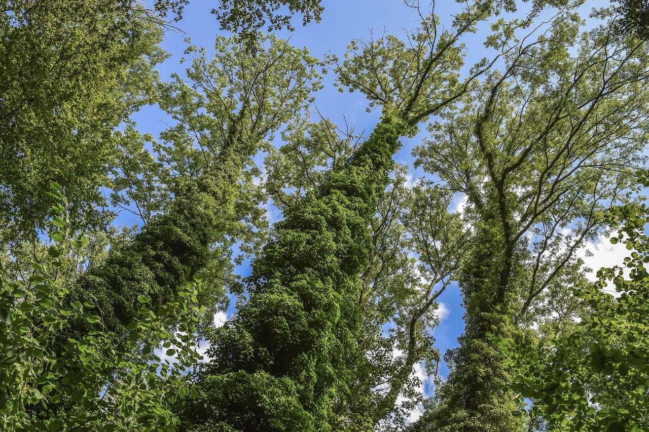  Land in Teltow-Flaming, Germany No. 230873