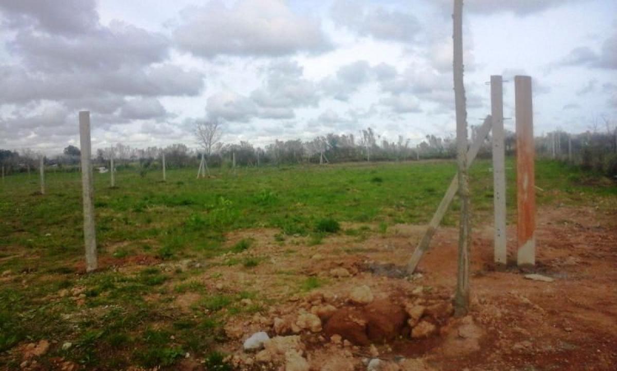  Land in Campo Creado, Argentina No. 116421