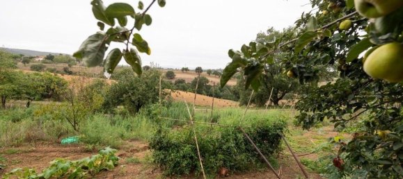 9 bedrooms House in Magliano in Toscana, Italy No. 319722 2