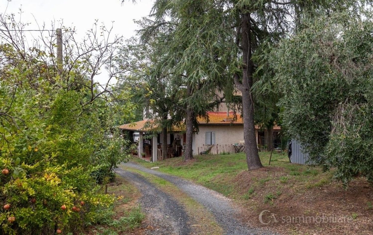 9 bedrooms House in Magliano in Toscana, Italy No. 319722