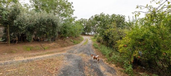9 bedrooms House in Magliano in Toscana, Italy No. 319722 3