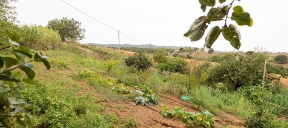 9 bedrooms House in Magliano in Toscana, Italy No. 319722 23