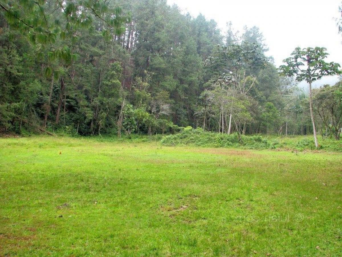  قطعة أرض في Antioquia, Colombia رقم 100