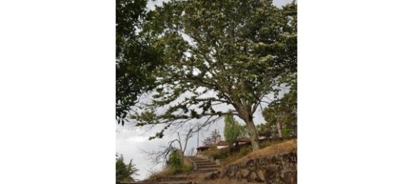 Hotel in Abrunhosa a Velha, Portugal 850m², Nr. 41370 11