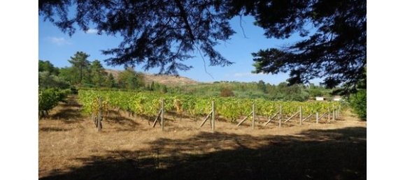 Hotel in Abrunhosa a Velha, Portugal 850m², Nr. 41370 4