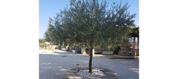 Hotel in Abrunhosa a Velha, Portugal 850m², Nr. 41370 47