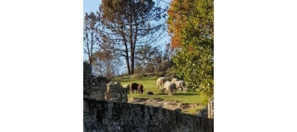 Hotel in Abrunhosa a Velha, Portugal 850m², Nr. 41370 6