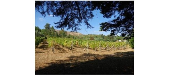 Hotel in Abrunhosa a Velha, Portugal 850m², Nr. 41370 29