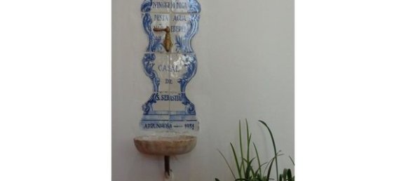 Hotel in Abrunhosa a Velha, Portugal 850m², Nr. 41370 8