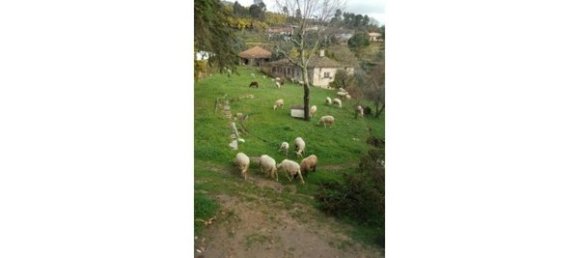 Hotel in Abrunhosa a Velha, Portugal 850m², Nr. 41370 13