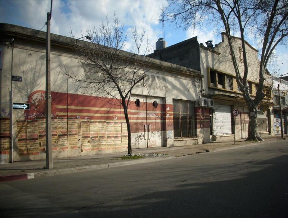  بناية في Montevideo, Uruguay رقم 16313