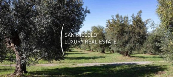 11 غرف نوم منزل في Magliano in Toscana, Italy رقم 195282 47