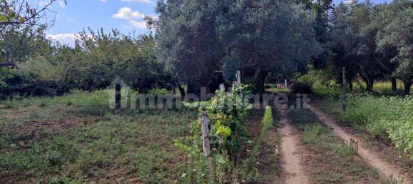 3300m² Land in Girifalco, Italy No. 343147 3