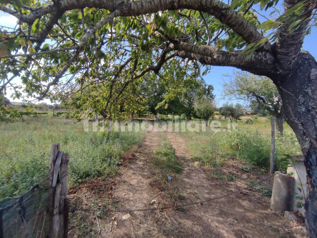 3300m² Land in Girifalco, Italy No. 343147