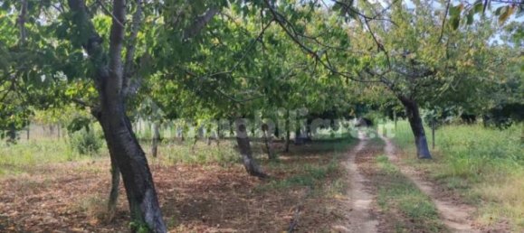 3300m² Land in Girifalco, Italy No. 343147 2