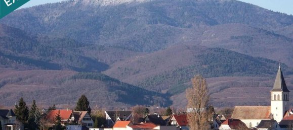 4 chambres Maison de ville à Haut-Rhin, France No. 49921 14