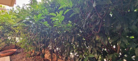 Квартира с 3 комнатами в Изерния, Италия № 174030 6