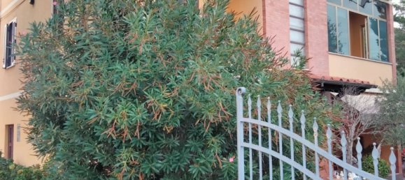 6 chambres Villa à Spello, Italy No. 328285 3