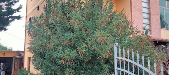 6 chambres Villa à Spello, Italy No. 328285 11