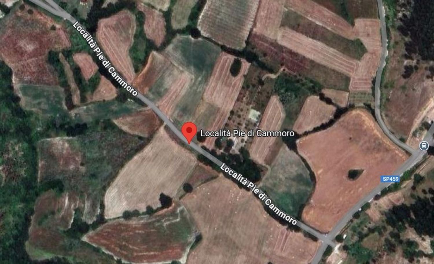 2 rooms Apartment in Sellano, Italy No. 42967