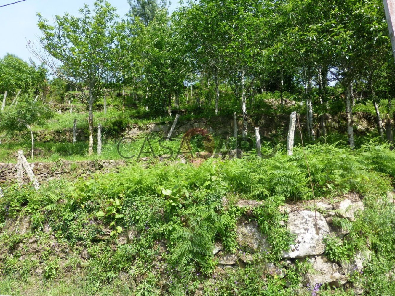  Land in Paderne, Portugal No. 326048