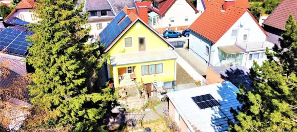 3 rooms House in Leobersdorf, Austria No. 238423 2