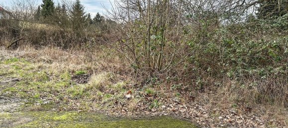 Terreno de 1 dormitorio en Havelland, Germany No. 78632 2