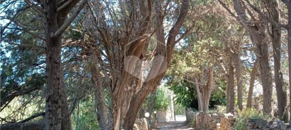 4 غرف نوم منزل في Marsala, Italy رقم 49665 30