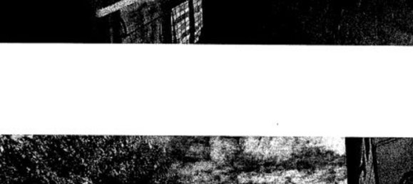 7 rooms Apartment in Altopascio, Italy No. 50473 17