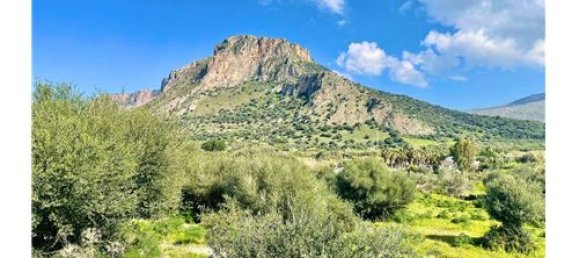 Terrain à Terrasini, Italy 65543m² No. 290223 12