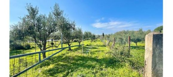 Terrain à Terrasini, Italy 65543m² No. 290223 5