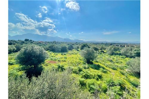 Terrain à Terrasini, Italy 65543m² No. 290223