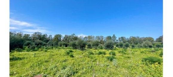 Terrain à Terrasini, Italy 65543m² No. 290223 7