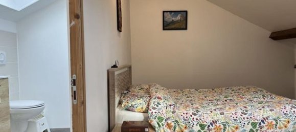 3 غرف نوم منزل ذو طابقين في Roche-la-Moliere, France رقم 301414 12