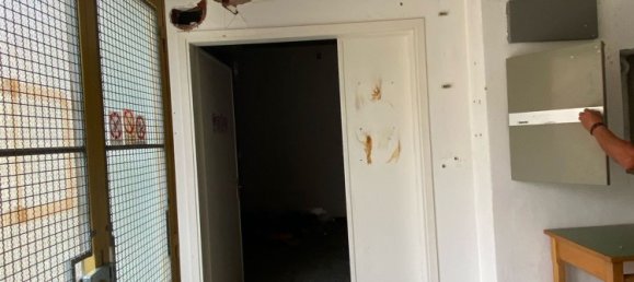 Коммерческая недвижимость 95м² в Реджелло, Италия № 284871 7