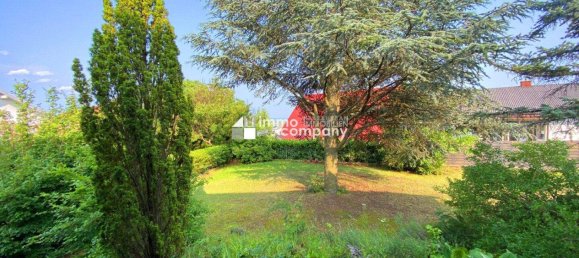 Casa de 4 habitaciónes en Purbach am Neusiedler See, Austria No. 176307 4