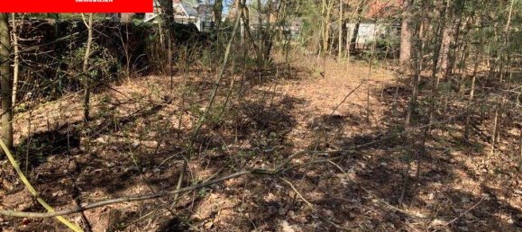 Terreno en Muggelheim, Germany No. 247997 2