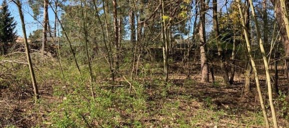 Terreno en Muggelheim, Germany No. 247997 6