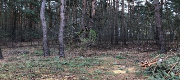 Terreno en Muggelheim, Germany No. 247997 5